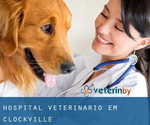 Hospital veterinário em Clockville