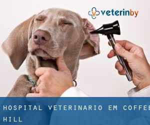 Hospital veterinário em Coffee Hill