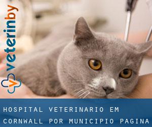 Hospital veterinário em Cornwall por município - página 2