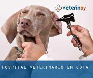 Hospital veterinário em Cota