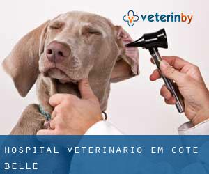 Hospital veterinário em Côte-Belle