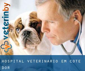 Hospital veterinário em Cote d'Or