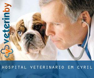 Hospital veterinário em Cyril