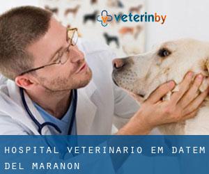 Hospital veterinário em Datem Del Marañon