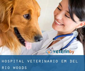 Hospital veterinário em Del Rio Woods