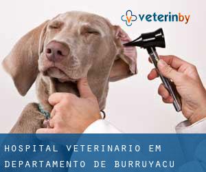 Hospital veterinário em Departamento de Burruyacú