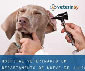 Hospital veterinário em Departamento de Nueve de Julio (San Juan)
