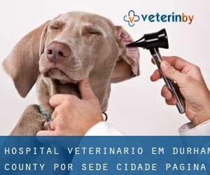 Hospital veterinário em Durham County por sede cidade - página 1