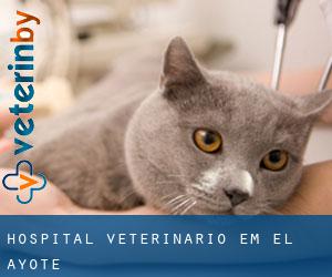 Hospital veterinário em El Ayote