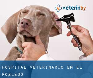 Hospital veterinário em El Robledo