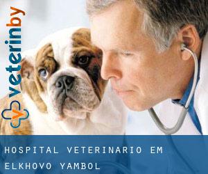 Hospital veterinário em Elkhovo (Yambol)