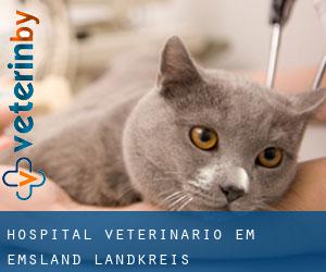 Hospital veterinário em Emsland Landkreis