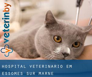 Hospital veterinário em Essômes-sur-Marne