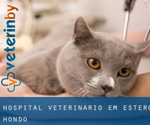 Hospital veterinário em Estero Hondo