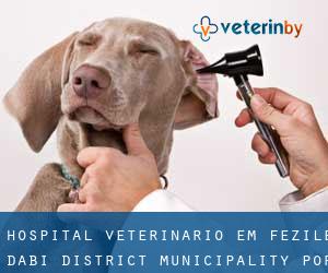 Hospital veterinário em Fezile Dabi District Municipality por sede cidade - página 1