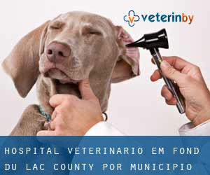 Hospital veterinário em Fond du Lac County por município - página 1