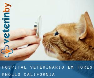 Hospital veterinário em Forest Knolls (California)