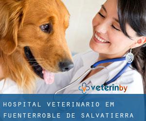 Hospital veterinário em Fuenterroble de Salvatierra