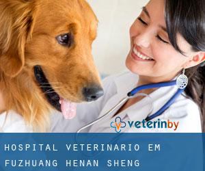Hospital veterinário em Fuzhuang (Henan Sheng)