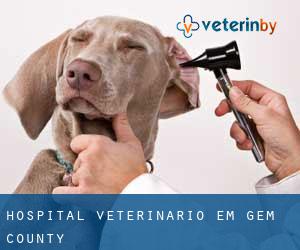 Hospital veterinário em Gem County