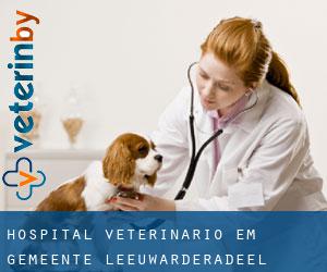 Hospital veterinário em Gemeente Leeuwarderadeel