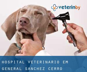 Hospital veterinário em General Sánchez Cerro