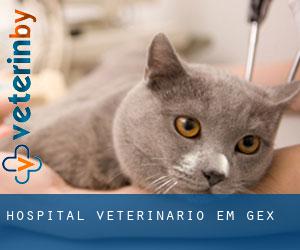 Hospital veterinário em Gex
