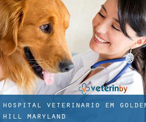 Hospital veterinário em Golden Hill (Maryland)