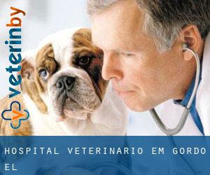 Hospital veterinário em Gordo (El)