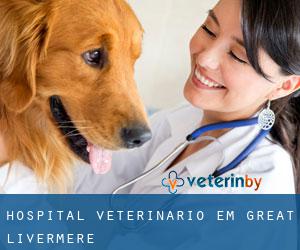 Hospital veterinário em Great Livermere