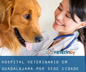 Hospital veterinário em Guadalajara por sede cidade - página 4