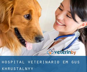 Hospital veterinário em Gus'-Khrustal'nyy