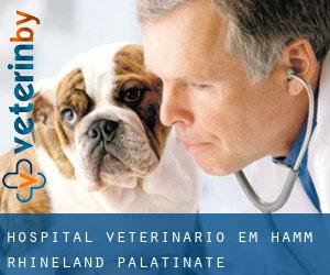 Hospital veterinário em Hamm (Rhineland-Palatinate)