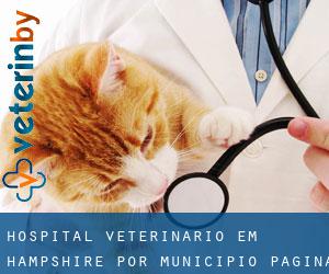 Hospital veterinário em Hampshire por município - página 1