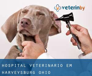 Hospital veterinário em Harveysburg (Ohio)