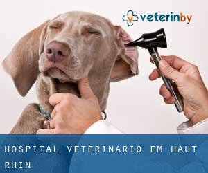 Hospital veterinário em Haut-Rhin
