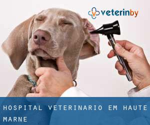 Hospital veterinário em Haute-Marne