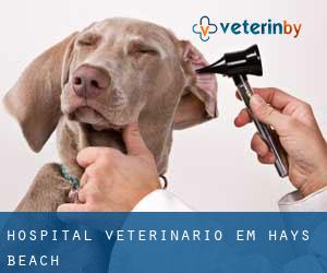 Hospital veterinário em Hays Beach