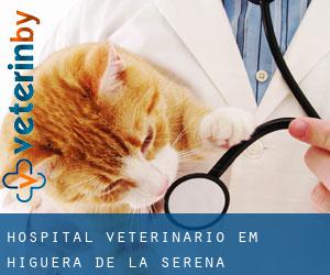 Hospital veterinário em Higuera de la Serena
