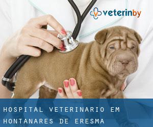 Hospital veterinário em Hontanares de Eresma