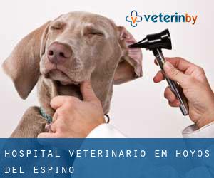 Hospital veterinário em Hoyos del Espino
