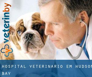 Hospital veterinário em Hudson Bay