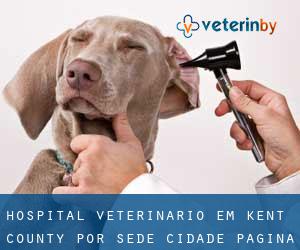 Hospital veterinário em Kent County por sede cidade - página 1