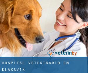 Hospital veterinário em Klaksvík