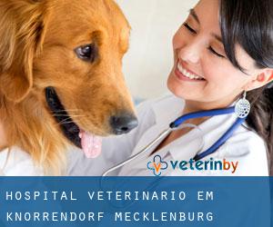 Hospital veterinário em Knorrendorf (Mecklenburg-Western Pomerania)