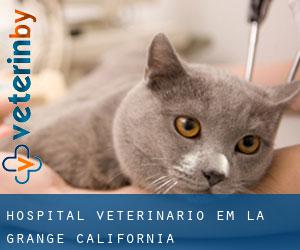 Hospital veterinário em La Grange (California)