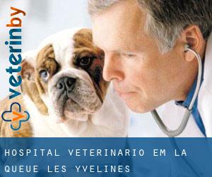 Hospital veterinário em La Queue-les-Yvelines