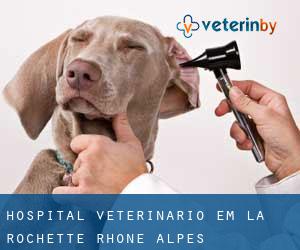 Hospital veterinário em La Rochette (Rhône-Alpes)