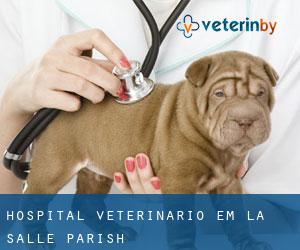 Hospital veterinário em La Salle Parish