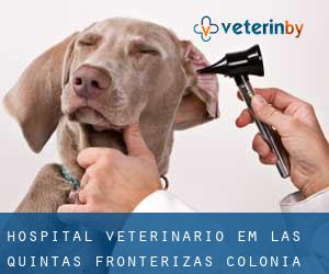 Hospital veterinário em Las Quintas Fronterizas Colonia